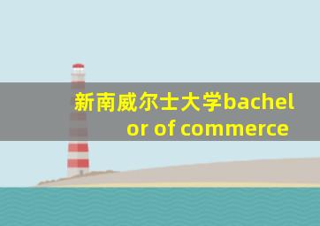 新南威尔士大学bachelor of commerce